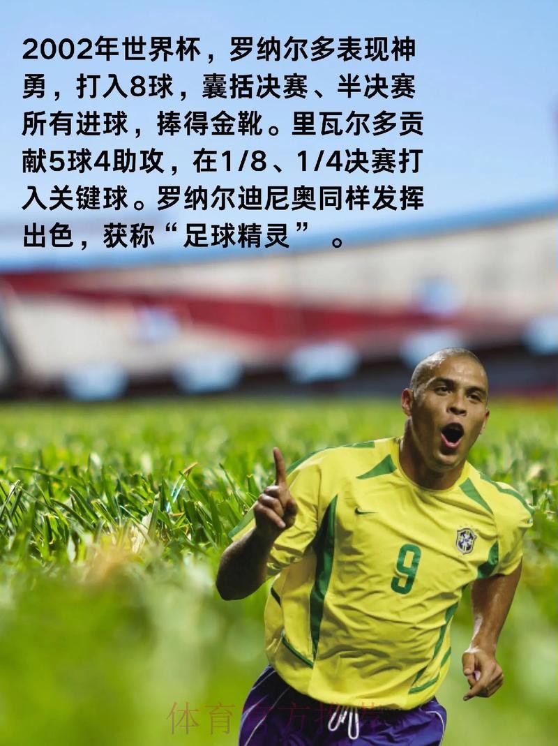 世界杯球队历史表现分析